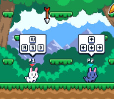 Poor Bunny