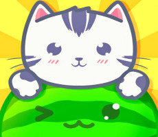 Suika Cat Game