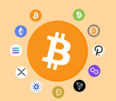 Suika Bitcoin Game